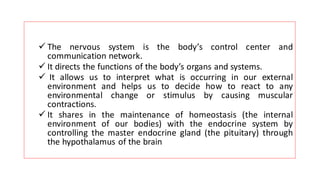 ✓ The nervous system is the body’s control center and
communication network.
✓ It directs the functions of the body’s organs and systems.
✓ It allows us to interpret what is occurring in our external
environment and helps us to decide how to react to any
environmental change or stimulus by causing muscular
contractions.
✓ It shares in the maintenance of homeostasis (the internal
environment of our bodies) with the endocrine system by
controlling the master endocrine gland (the pituitary) through
the hypothalamus of the brain
 