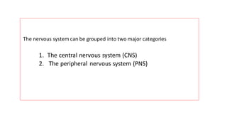 The nervous system can be grouped into two major categories
1. The central nervous system (CNS)
2. The peripheral nervous system (PNS)
 
