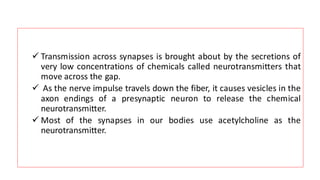 ✓ Transmission across synapses is brought about by the secretions of
very low concentrations of chemicals called neurotransmitters that
move across the gap.
✓ As the nerve impulse travels down the fiber, it causes vesicles in the
axon endings of a presynaptic neuron to release the chemical
neurotransmitter.
✓ Most of the synapses in our bodies use acetylcholine as the
neurotransmitter.
 