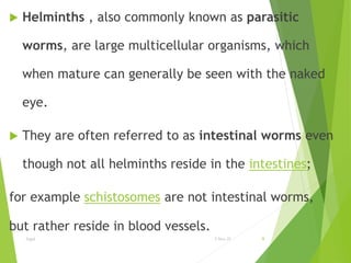 Lecture one ameoba | PPT | Digestive Disorders | Diseases and Conditions