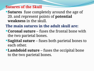 Skull Potential Injuries LECTURE ONE ANATOMY OF HEAD AND NECK AND NEURO ANATOMY.pptx
