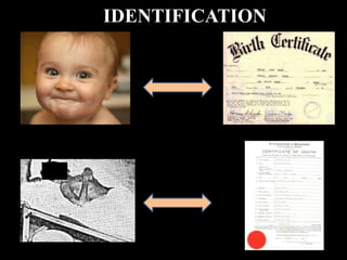 IDENTIFICATION
 