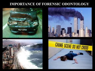 IMPORTANCE OF FORENSIC ODONTOLOGY
 