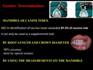 Gender Determination
MCI in identification of sex has never exceeded 87.5% of success rate
it can only be used as a supplemental tool.
MANDIBULAR CANINE INDEX
BY ROOT LENGTH AND CROWN DIAMETER
-80% accuracy
-done by optical scanner
BY USING THE MEASUREMENTS ON THE MANDIBLE
 