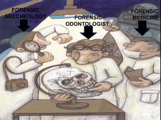 FORENSIC
ODONTOLOGIST
FORENSIC
ARECHEOLOGY
FORENSIC
MEDICINE
 