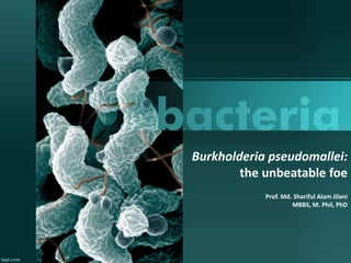 Burkholderia pseudomallei:
the unbeatable foe
Prof. Md. Shariful Alam Jilani
MBBS, M. Phil, PhD
 