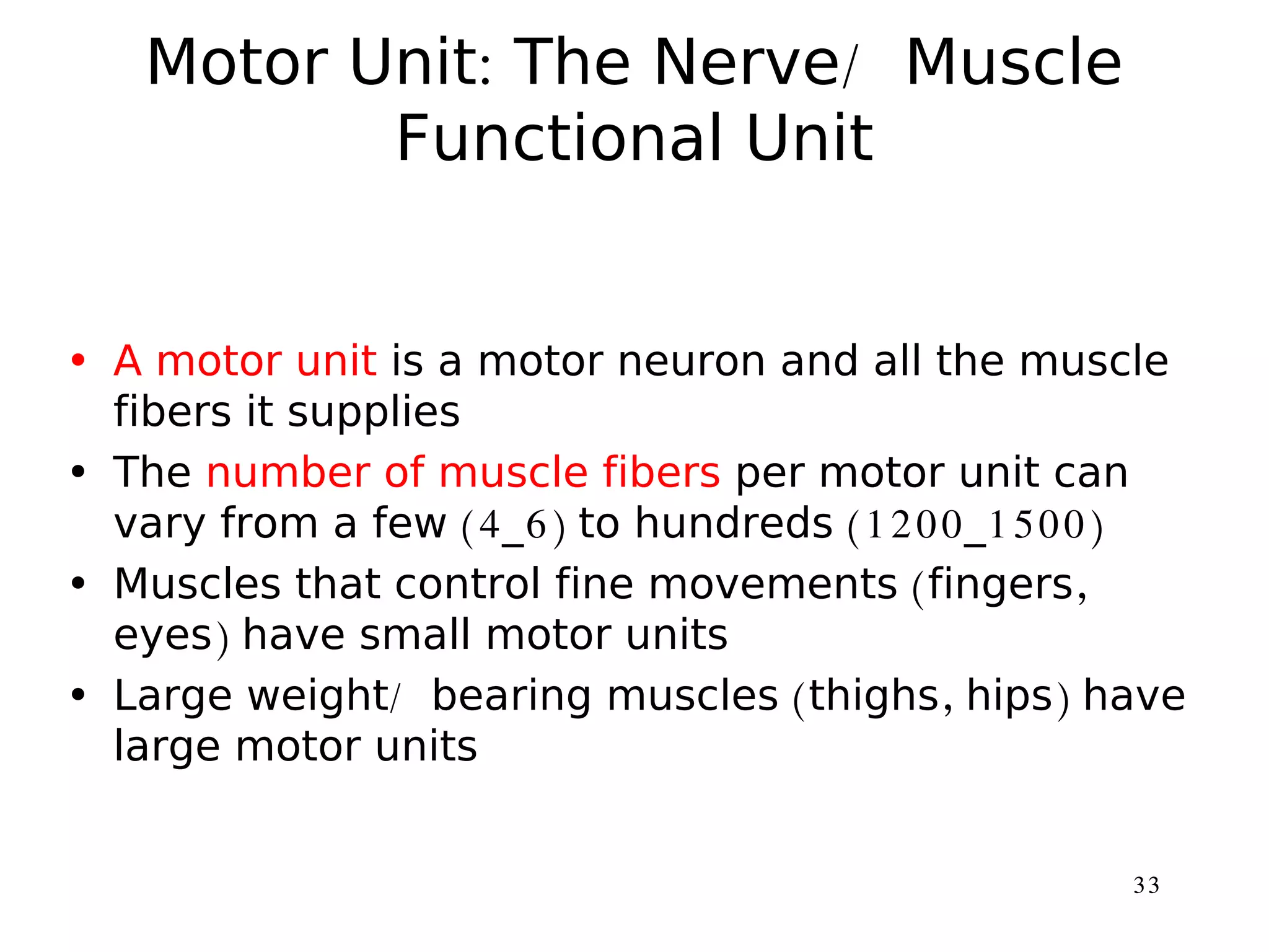 Lecture On Muscular System Ppt Lecture On Muscular System Ppt