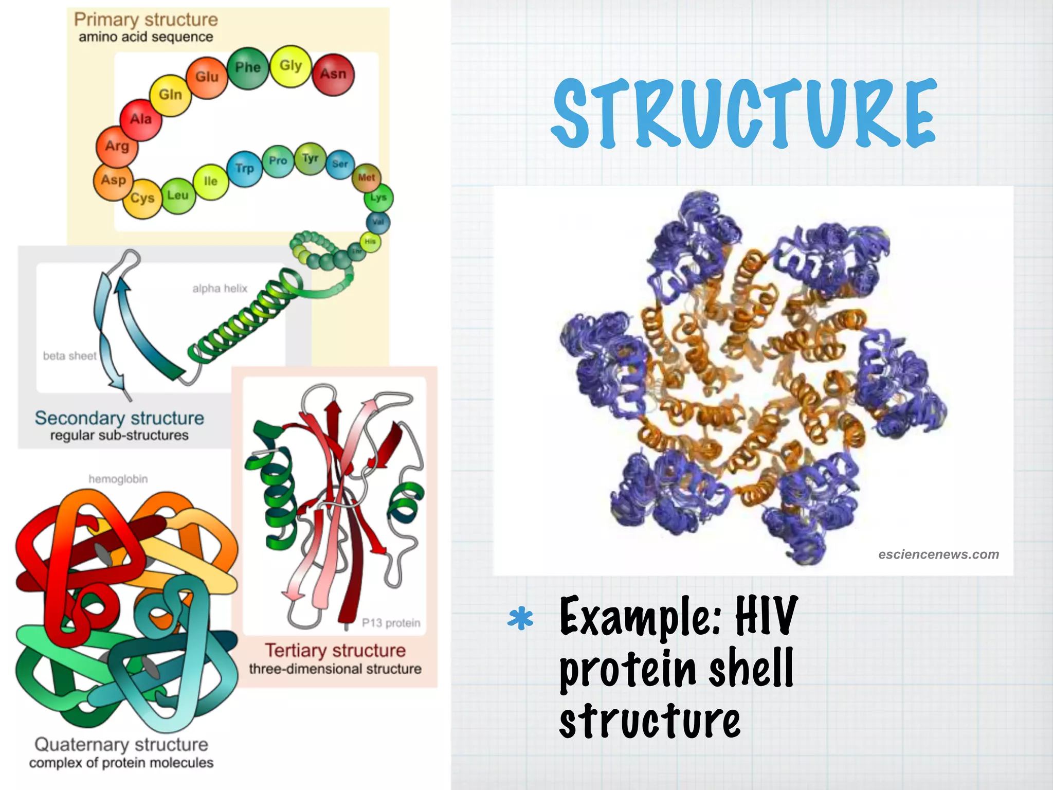 STRUCTURE 
esciencenews.com 
Example: HIV 
protein shell 
structure 
 