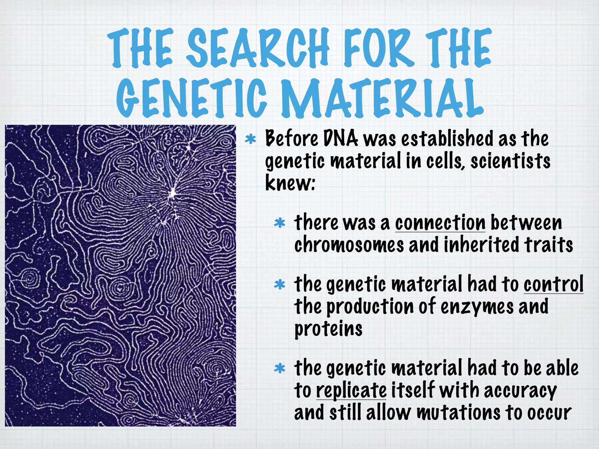 THE SEARCH FOR THE 
GENETIC MATERIAL 
Before DNA was established as the 
genetic material in cells, scientists 
knew: 
there was a connection between 
chromosomes and inherited traits 
the genetic material had to control 
the production of enzymes and 
proteins 
the genetic material had to be able 
to replicate itself with accuracy 
and still allow mutations to occur 
 