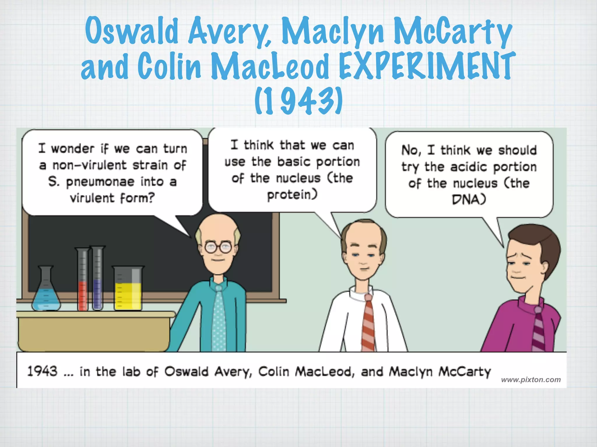 Oswald Avery, Maclyn McCarty 
and Colin MacLeod EXPERIMENT 
(1943) 
www.pixton.com 
 