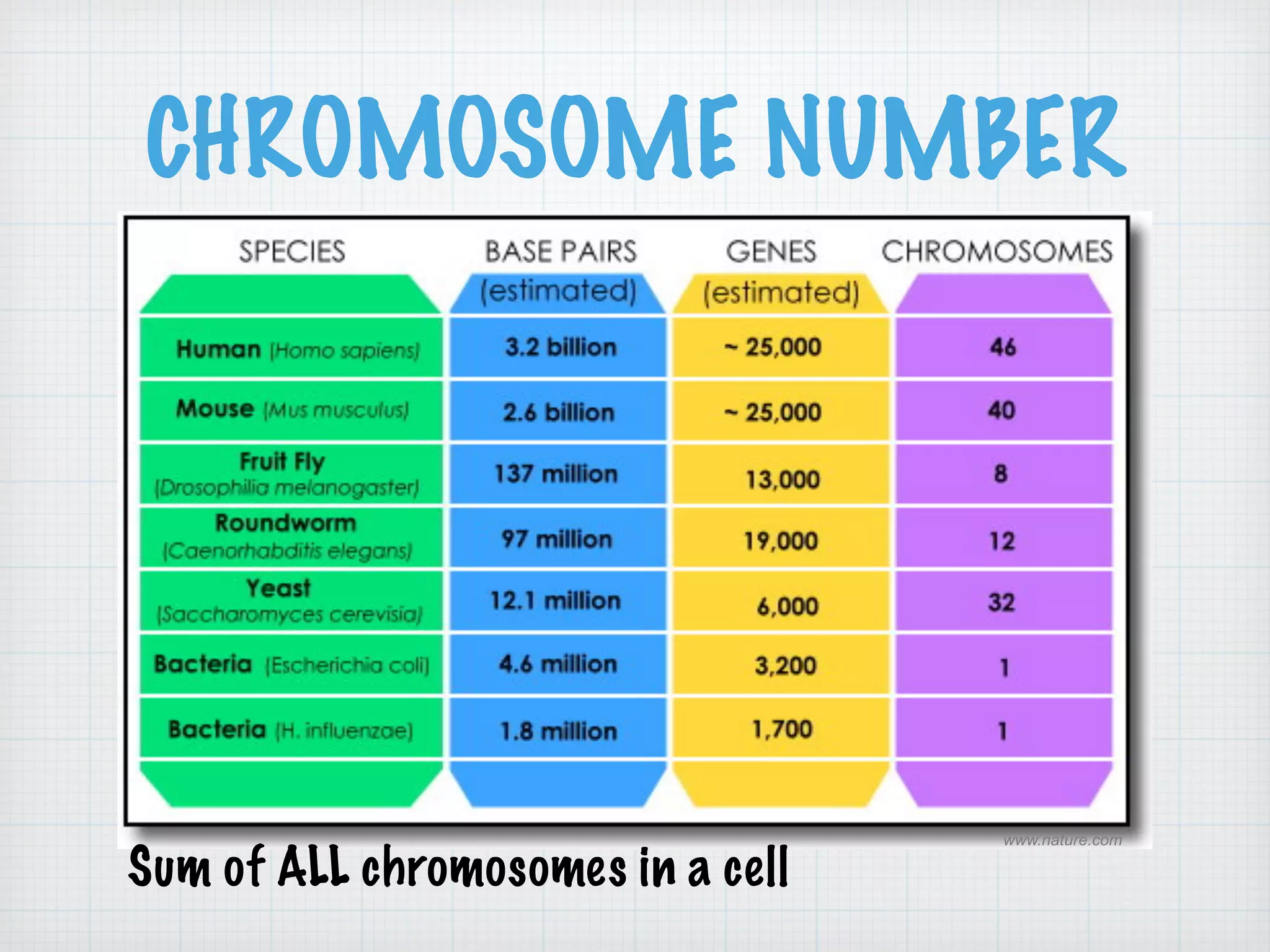 CHROMOSOME NUMBER 
www.nature.com Sum of ALL chromosomes in a cell 
 