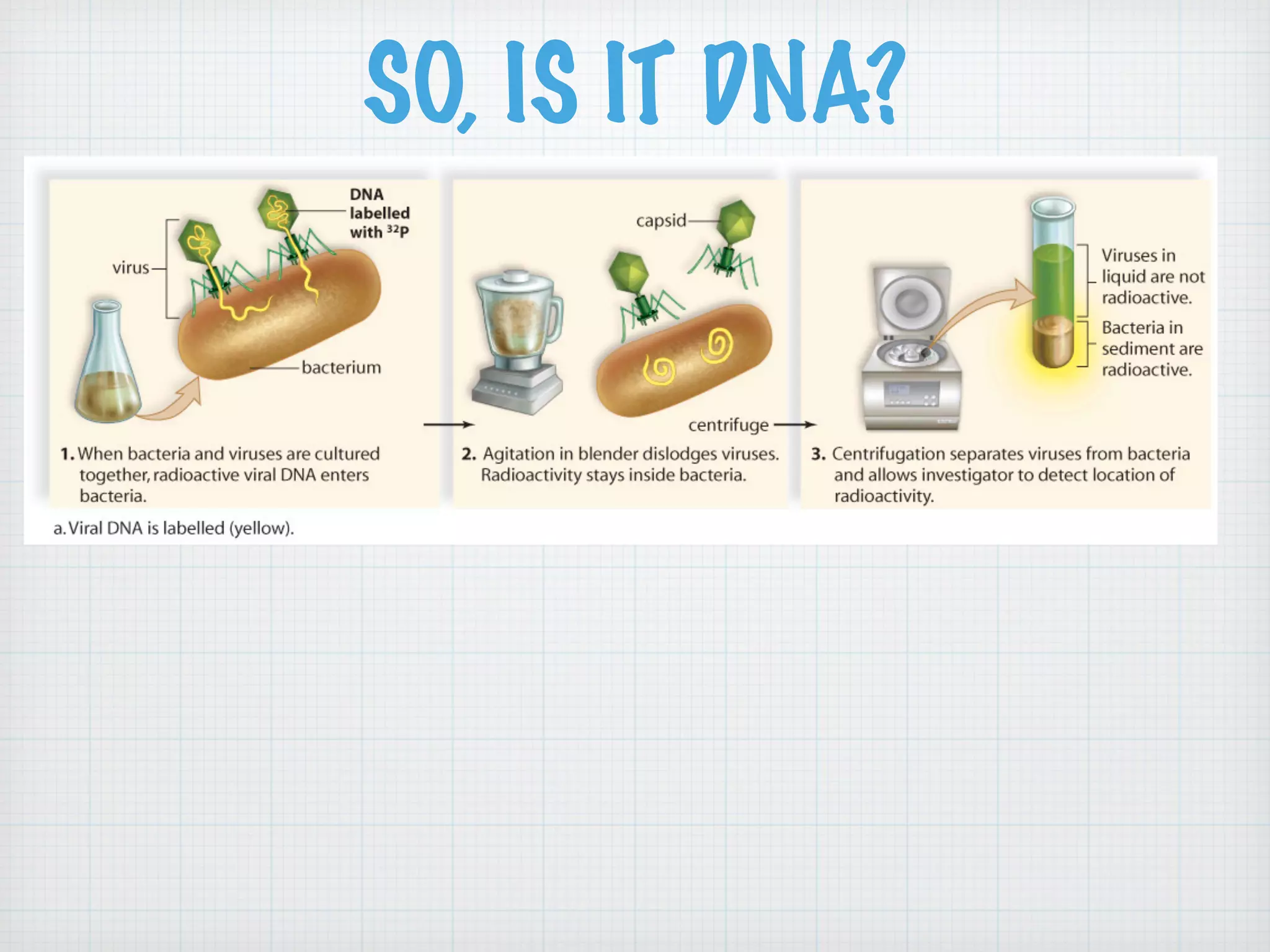 SO, IS IT DNA? 
 