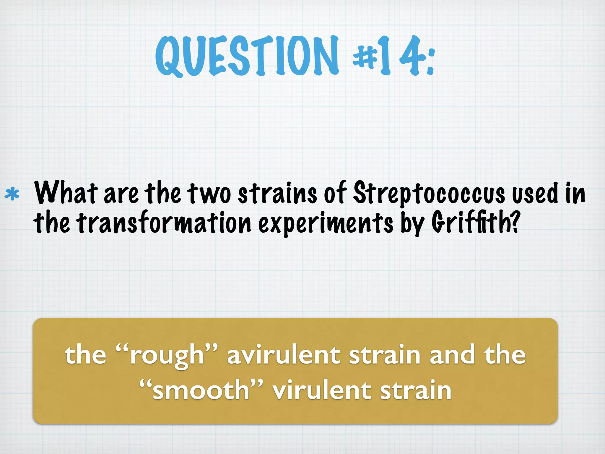 QUESTION #14: 
What are the two strains of Streptococcus used in 
the transformation experiments by Griffith? 
the “rough” avirulent strain and the 
“smooth” virulent strain 
 