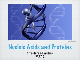 www.psmag.com 
Nucleic Acids and Proteins 
Structure & Function 
PART 2 
 