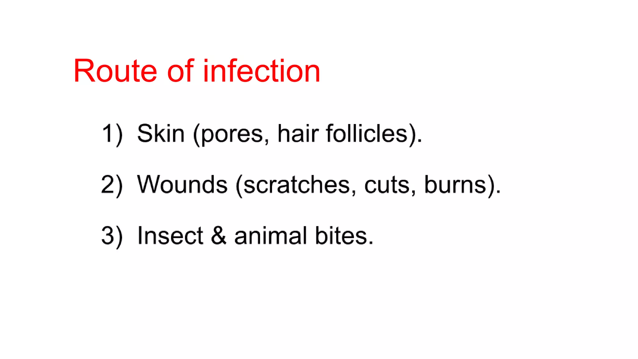 Route of infection
 