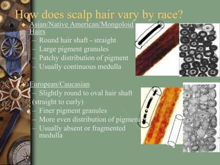 Lecture on Trace Evidence.ppt