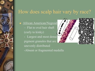 Lecture on Trace Evidence.ppt