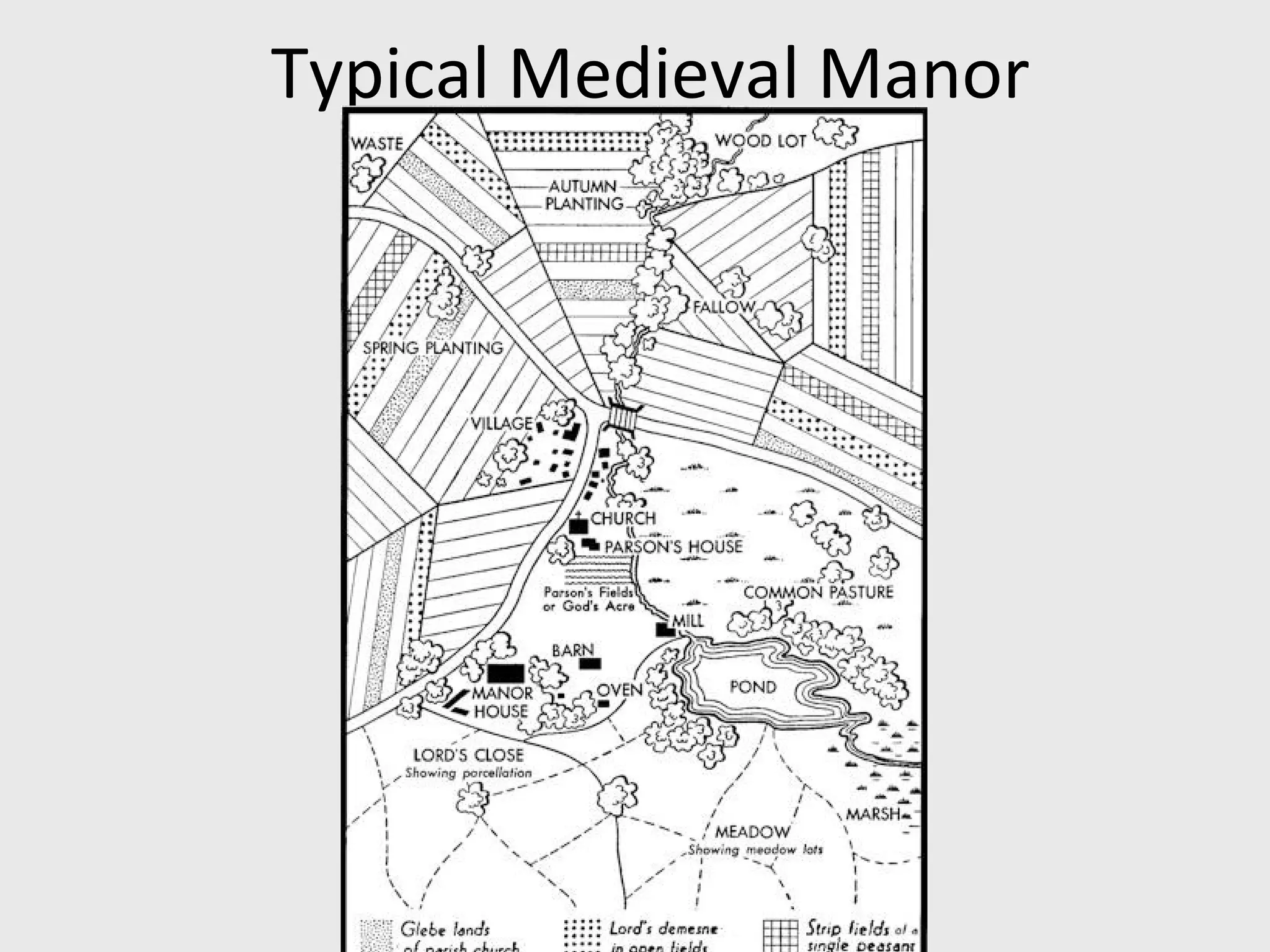 Typical Medieval Manor
 