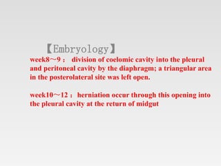 Triangular Protrusion Lecture ped. surg.basics.pptx