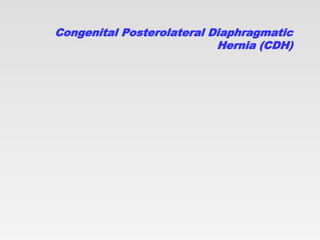 Congenital Posterolateral Diaphragmatic
Hernia (CDH)
 