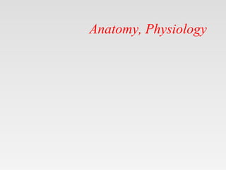 Anatomy, Physiology
 