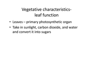 Vegetative characteristics- leaf shape
page 17



            spatulate            deltoid




sagittate




             ...