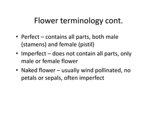 activity
• Dissect 3 flowers and label the parts
• For each flower, determine:
  – 1. perfect or imperfect
  – 2. ovary su...