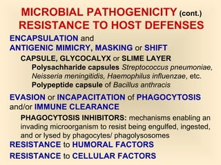 Strep Encapsulated Host pathogen interactions | PPT