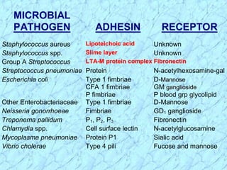MICROBIAL
PATHOGEN ADHESIN RECEPTOR
Staphylococcus aureus LLiippootteeiicchhooiicc aacciidd Unknown
Staphylococcus spp. SSlliimmee llaayyeerr Unknown
Group A Streptococcus LLTTAA--MM pprrootteeiinn ccoommpplleexx FFiibbrroonneeccttiinn
Streptococcus pneumoniae Protein N-acetylhexosamine-gal
Escherichia coli Type 1 fimbriae
CFA 1 fimbriae
P fimbriae
D-MMaannnnoossee
GM ggaanngglliioossiiddee
P blood grp glycolipid
Other Enterobacteriaceae Type 1 fimbriae D-Mannose
Neisseria gonorrhoeae Fimbriae GD1 ganglioside
Treponema pallidum P1, P2, P3 Fibronectin
Chlamydia spp. Cell surface lectin N-acetylglucosamine
Mycoplasma pneumoniae Protein P1 Sialic acid
Vibrio cholerae Type 4 pili Fucose and mannose
 