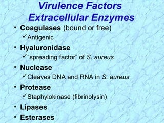 Virulence Factors
Extracellular Enzymes
• Coagulases (bound or free)
Antigenic
• Hyaluronidase
“spreading factor” of S. aureus
• Nuclease
Cleaves DNA and RNA in S. aureus
• Protease
Staphylokinase (fibrinolysin)
• Lipases
• Esterases
 