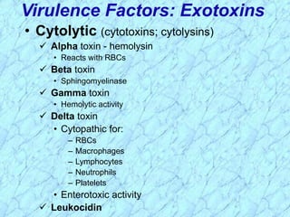 Virulence Factors: Exotoxins
• Cytolytic (cytotoxins; cytolysins)
 Alpha toxin - hemolysin
• Reacts with RBCs
 Beta toxin
• Sphingomyelinase
 Gamma toxin
• Hemolytic activity
 Delta toxin
• Cytopathic for:
– RBCs
– Macrophages
– Lymphocytes
– Neutrophils
– Platelets
• Enterotoxic activity
 Leukocidin
 