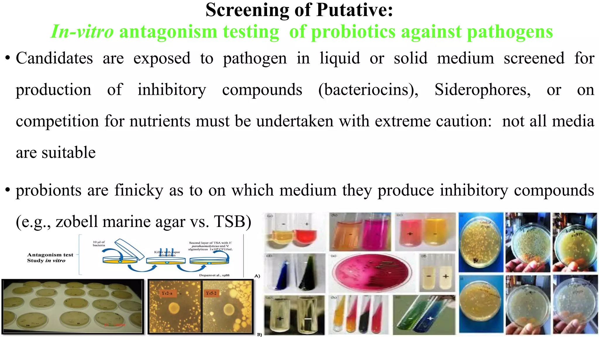 Screening of Putative:
In-vitro antagonism testing of probiotics against pathogens
• Candidates are exposed to pathogen in liquid or solid medium screened for
production of inhibitory compounds (bacteriocins), Siderophores, or on
competition for nutrients must be undertaken with extreme caution: not all media
are suitable
• probionts are finicky as to on which medium they produce inhibitory compounds
(e.g., zobell marine agar vs. TSB)
 