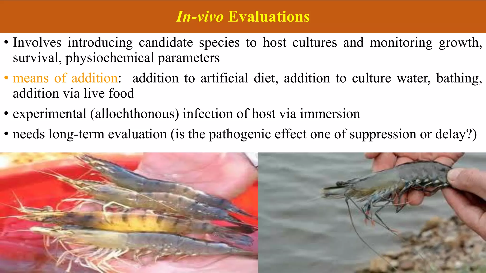 In-vivo Evaluations
• Involves introducing candidate species to host cultures and monitoring growth,
survival, physiochemical parameters
• means of addition: addition to artificial diet, addition to culture water, bathing,
addition via live food
• experimental (allochthonous) infection of host via immersion
• needs long-term evaluation (is the pathogenic effect one of suppression or delay?)
 