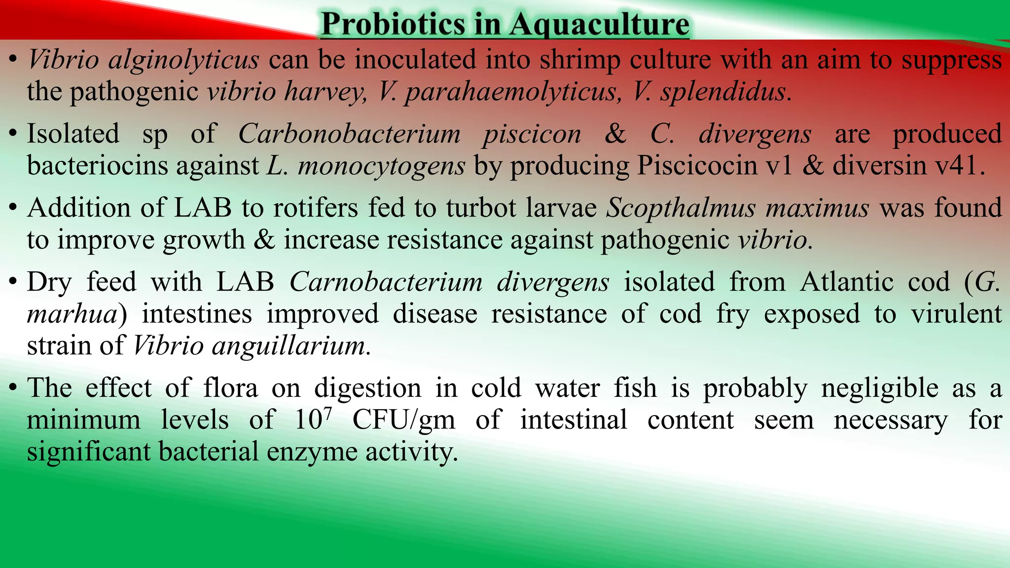 • Vibrio alginolyticus can be inoculated into shrimp culture with an aim to suppress
the pathogenic vibrio harvey, V. parahaemolyticus, V. splendidus.
• Isolated sp of Carbonobacterium piscicon & C. divergens are produced
bacteriocins against L. monocytogens by producing Piscicocin v1 & diversin v41.
• Addition of LAB to rotifers fed to turbot larvae Scopthalmus maximus was found
to improve growth & increase resistance against pathogenic vibrio.
• Dry feed with LAB Carnobacterium divergens isolated from Atlantic cod (G.
marhua) intestines improved disease resistance of cod fry exposed to virulent
strain of Vibrio anguillarium.
• The effect of flora on digestion in cold water fish is probably negligible as a
minimum levels of 107 CFU/gm of intestinal content seem necessary for
significant bacterial enzyme activity.
 