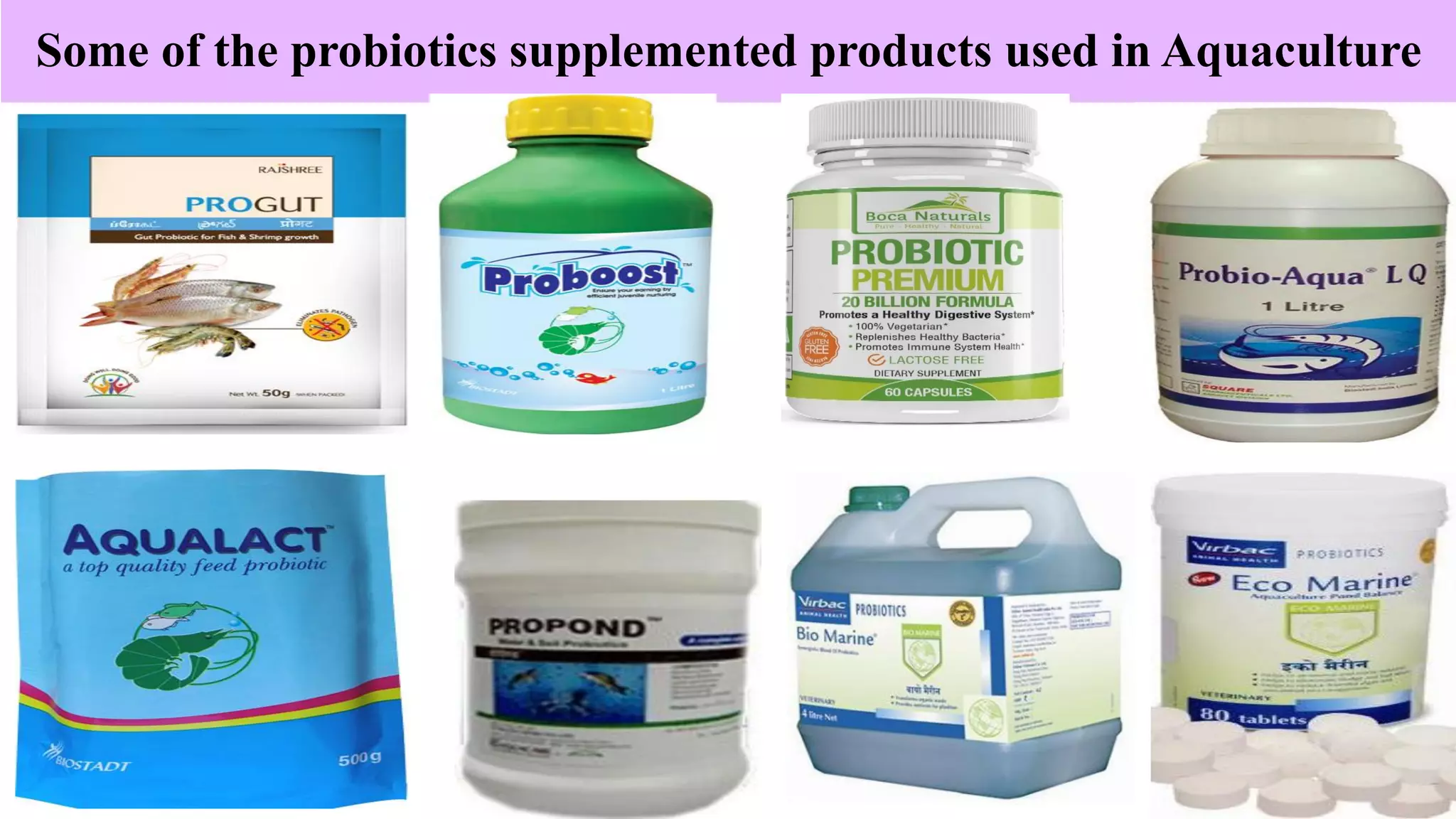 Some of the probiotics supplemented products used in Aquaculture
 