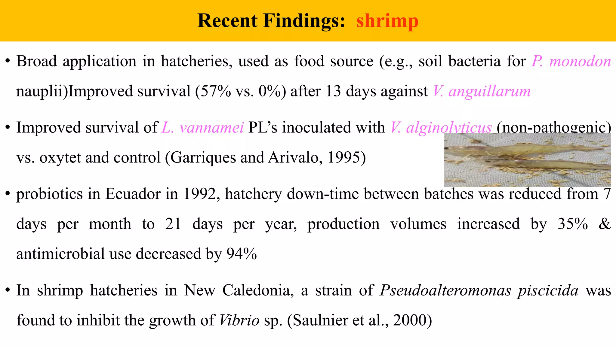 Recent Findings: shrimp
• Broad application in hatcheries, used as food source (e.g., soil bacteria for P. monodon
nauplii)Improved survival (57% vs. 0%) after 13 days against V. anguillarum
• Improved survival of L. vannamei PL’s inoculated with V. alginolyticus (non-pathogenic)
vs. oxytet and control (Garriques and Arivalo, 1995)
• probiotics in Ecuador in 1992, hatchery down-time between batches was reduced from 7
days per month to 21 days per year, production volumes increased by 35% &
antimicrobial use decreased by 94%
• In shrimp hatcheries in New Caledonia, a strain of Pseudoalteromonas piscicida was
found to inhibit the growth of Vibrio sp. (Saulnier et al., 2000)
 