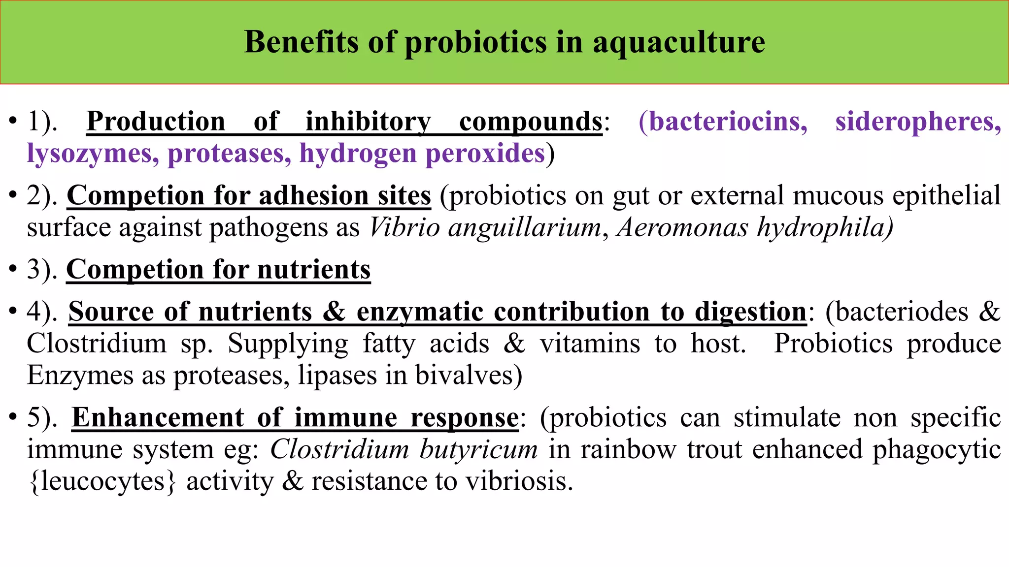 Benefits of probiotics in aquaculture
• 1). Production of inhibitory compounds: (bacteriocins, sideropheres,
lysozymes, proteases, hydrogen peroxides)
• 2). Competion for adhesion sites (probiotics on gut or external mucous epithelial
surface against pathogens as Vibrio anguillarium, Aeromonas hydrophila)
• 3). Competion for nutrients
• 4). Source of nutrients & enzymatic contribution to digestion: (bacteriodes &
Clostridium sp. Supplying fatty acids & vitamins to host. Probiotics produce
Enzymes as proteases, lipases in bivalves)
• 5). Enhancement of immune response: (probiotics can stimulate non specific
immune system eg: Clostridium butyricum in rainbow trout enhanced phagocytic
{leucocytes} activity & resistance to vibriosis.
 