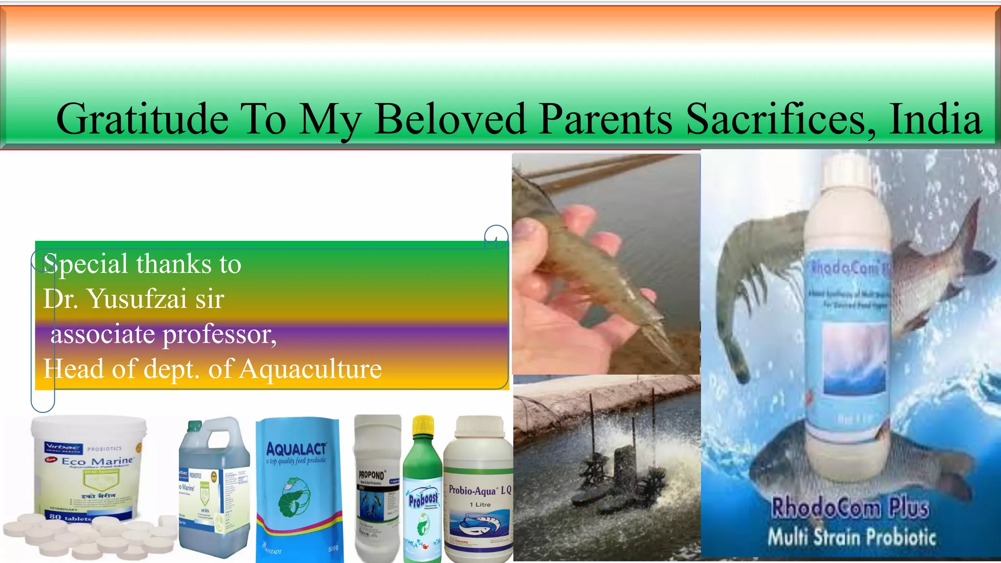 Special thanks to
Dr. Yusufzai sir
associate professor,
Head of dept. of Aquaculture
Gratitude To My Beloved Parents Sacrifices, India
 
