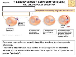 Secondary Endosymbiosis
Serial ingestion of photosynthetic
bacteria by endosymbiontic
prokaryotes or eukaryotes led to the...