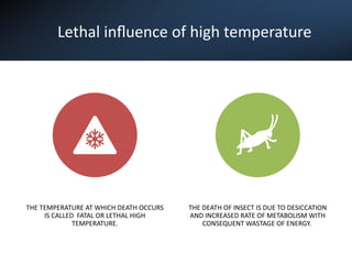 Insect Ecology and Integrated Pest Management: Temperature Effects and ...