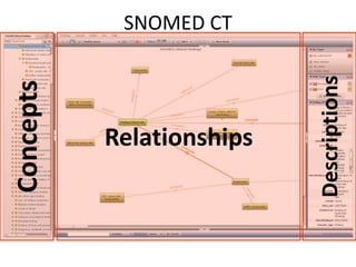 SNOMED CT




                           Descriptions
Concepts


           Relationships
 