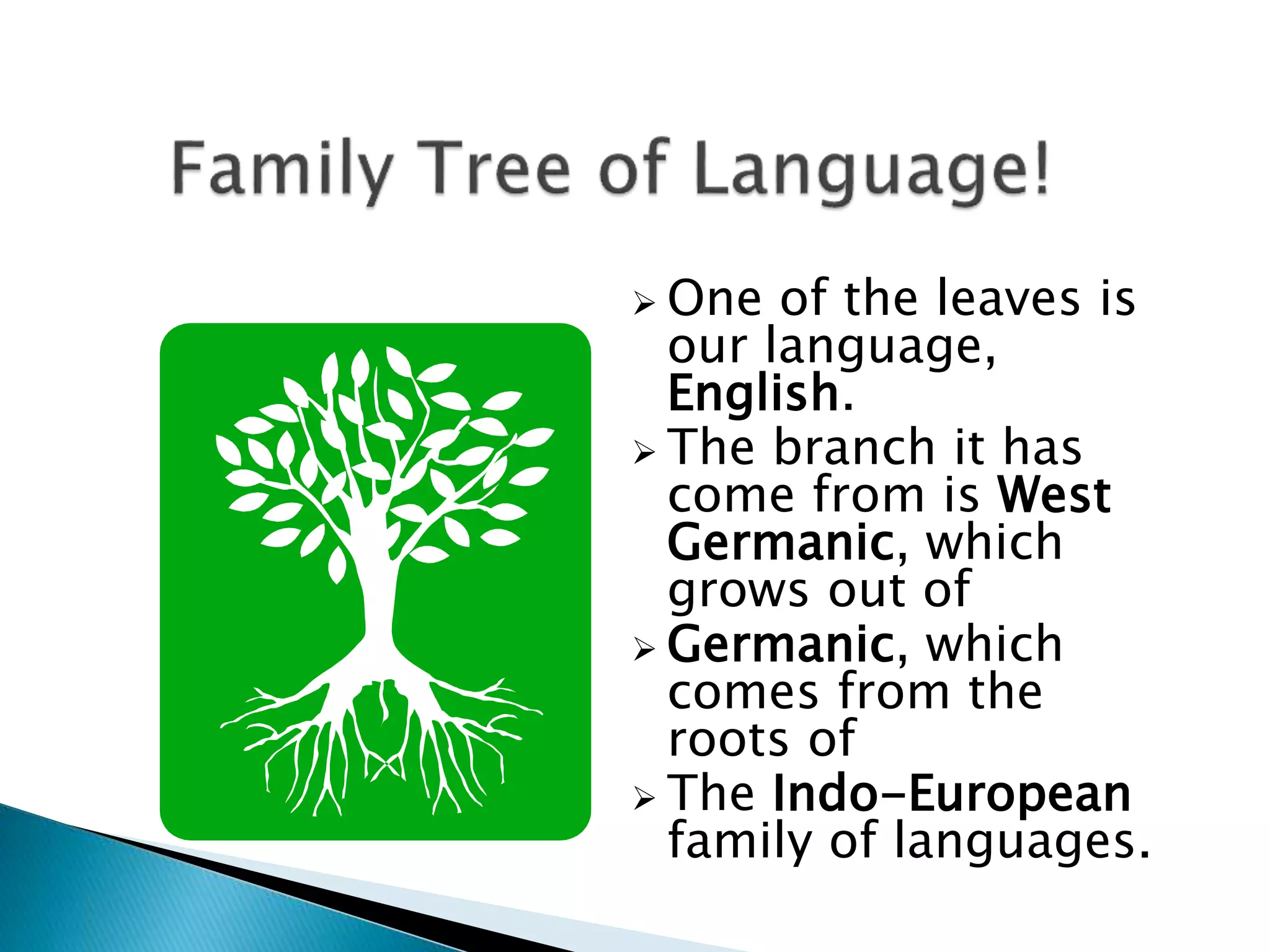  One of the leaves is
our language,
English.
 The branch it has
come from is West
Germanic, which
grows out of
 Germanic, which
comes from the
roots of
 The Indo-European
family of languages.
 