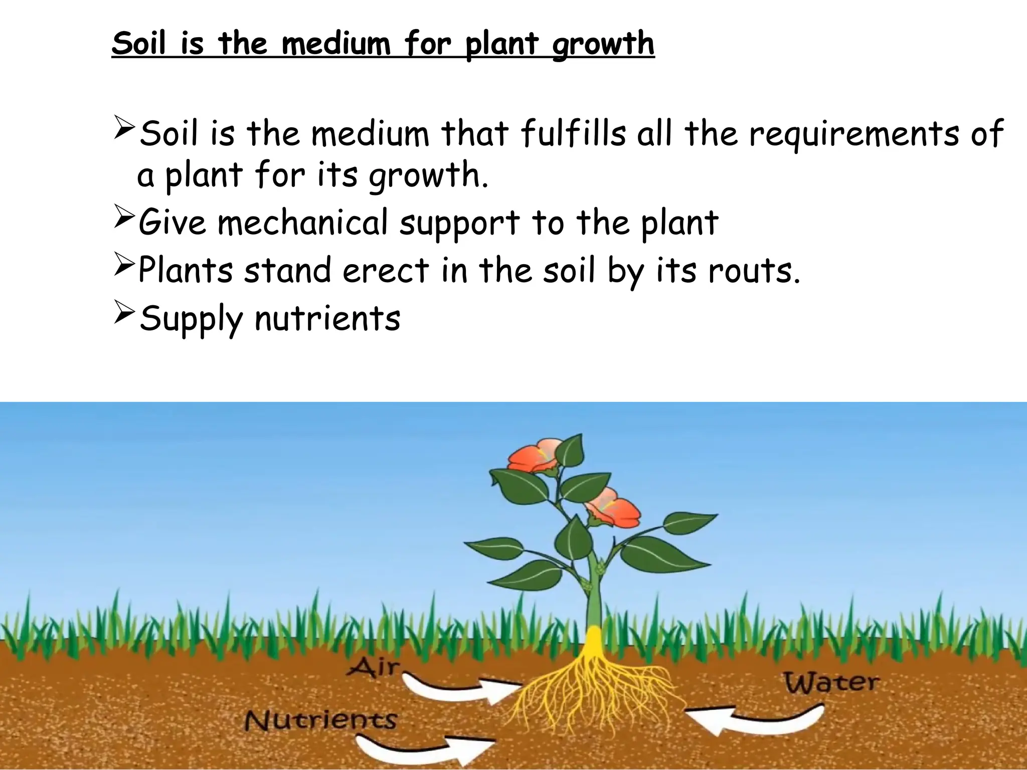 Soil is the medium for plant growth
Soil is the medium that fulfills all the requirements of
a plant for its growth.
Give mechanical support to the plant
Plants stand erect in the soil by its routs.
Supply nutrients
 