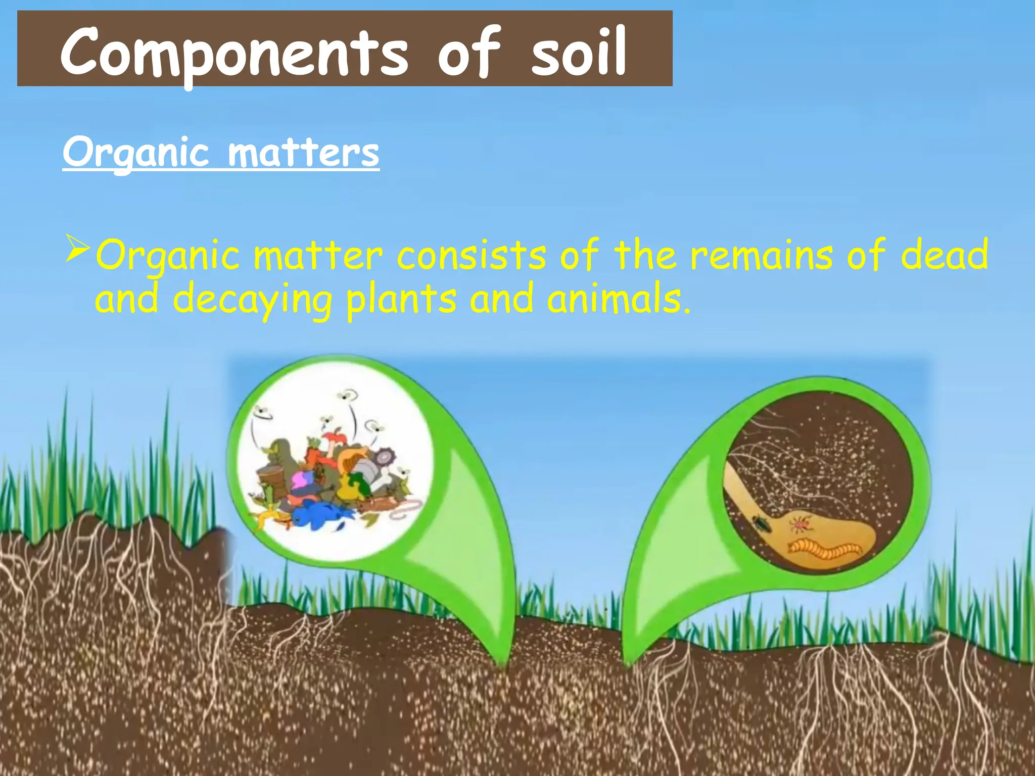 Components of soil
Organic matters
Organic matter consists of the remains of dead
and decaying plants and animals.
 