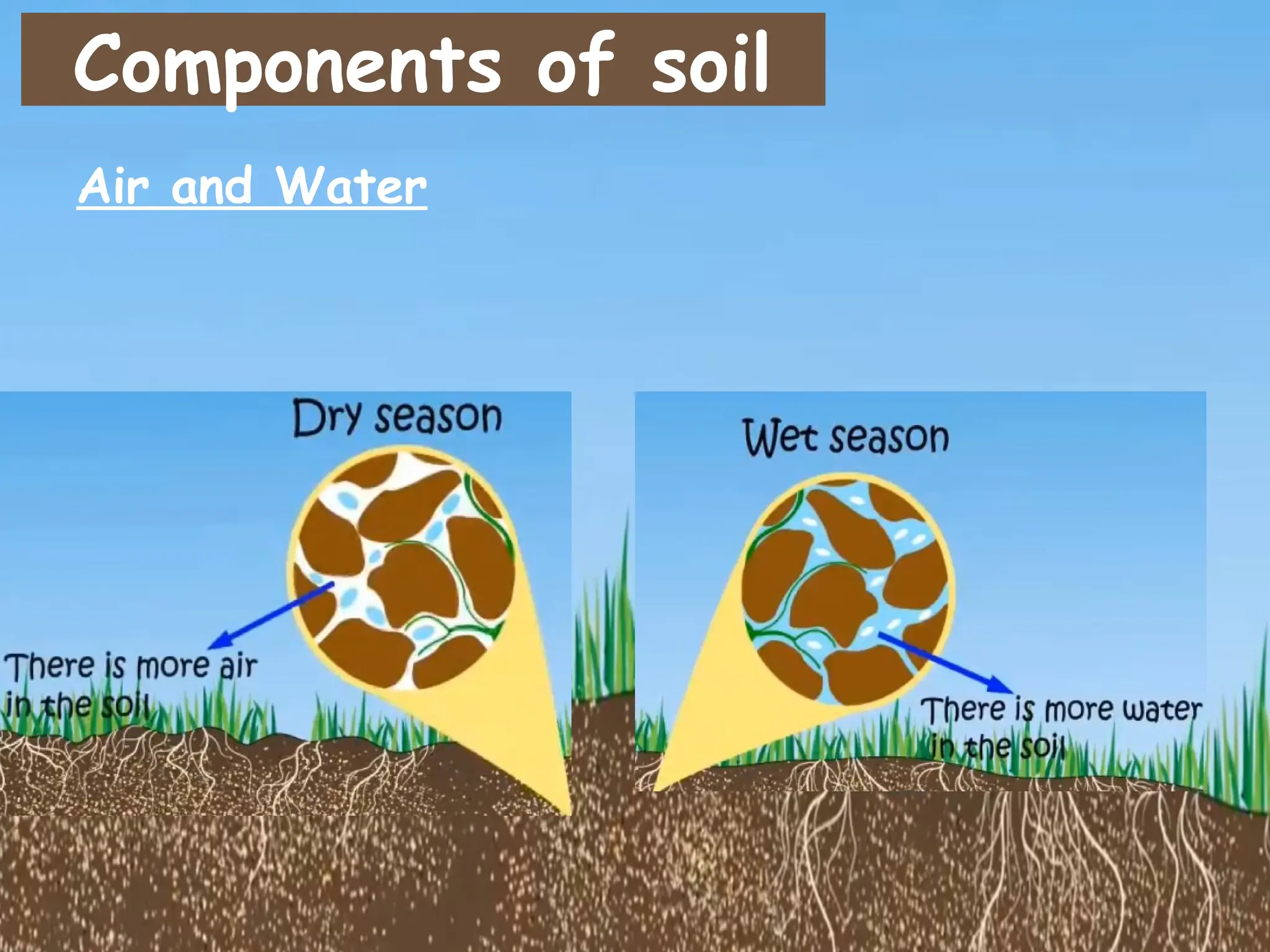 Components of soil
Air and Water
 