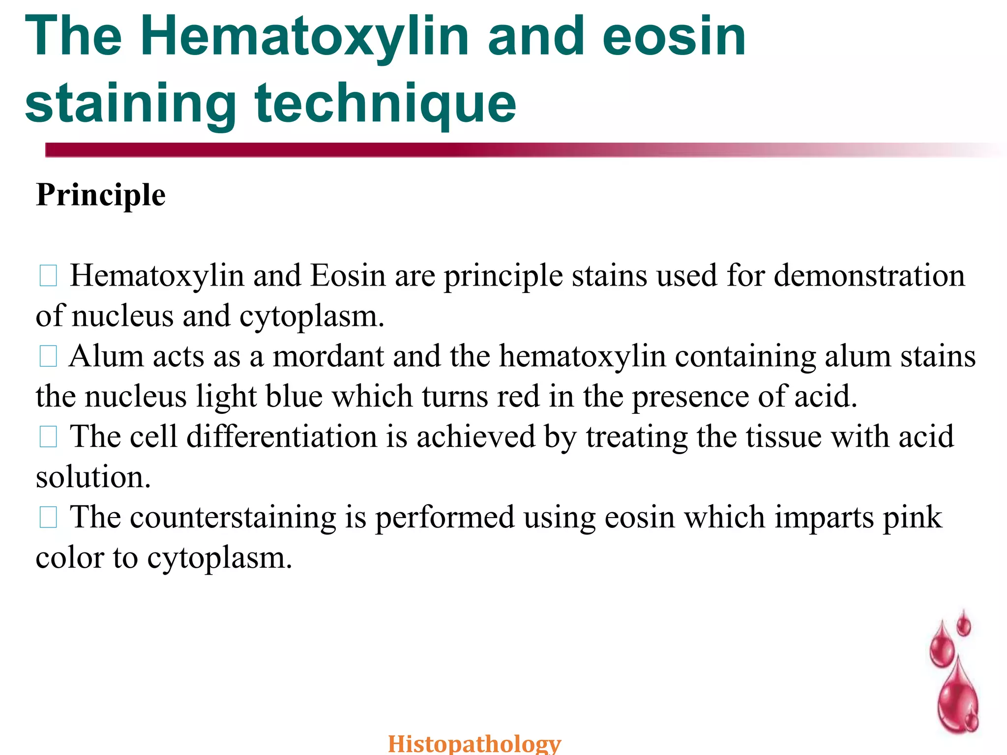 The Hematoxylin and eosin
staining technique
Principle
Hematoxylin and Eosin are principle stains used for demonstration
of nucleus and cytoplasm.
Alum acts as a mordant and the hematoxylin containing alum stains
the nucleus light blue which turns red in the presence of acid.
The cell differentiation is achieved by treating the tissue with acid
solution.
The counterstaining is performed using eosin which imparts pink
color to cytoplasm.
Histopathology
 