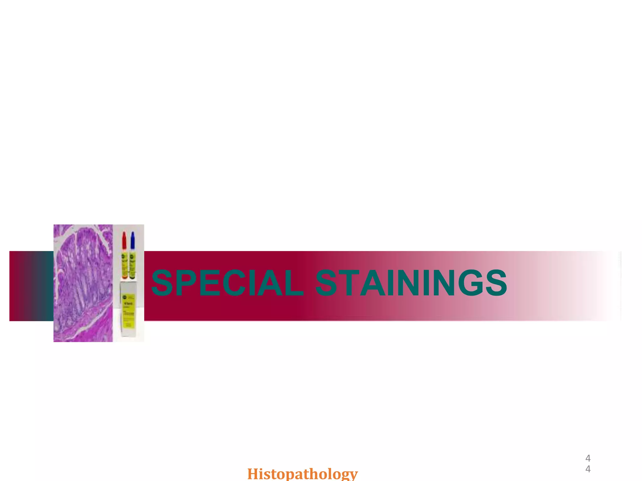 4
4
SPECIAL STAININGS
Histopathology
 