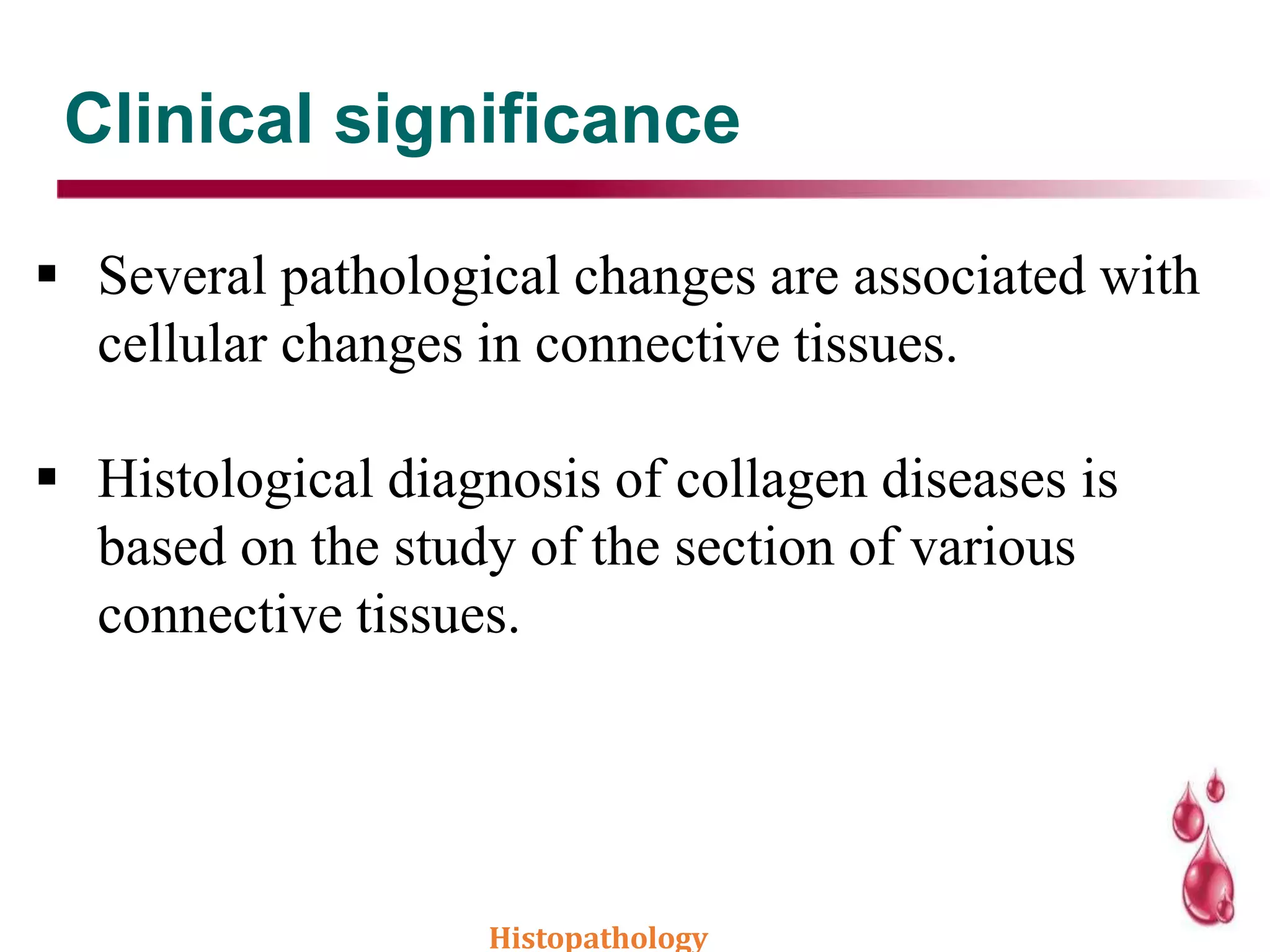 Clinical significance
 Several pathological changes are associated with
cellular changes in connective tissues.
 Histological diagnosis of collagen diseases is
based on the study of the section of various
connective tissues.
Histopathology
 