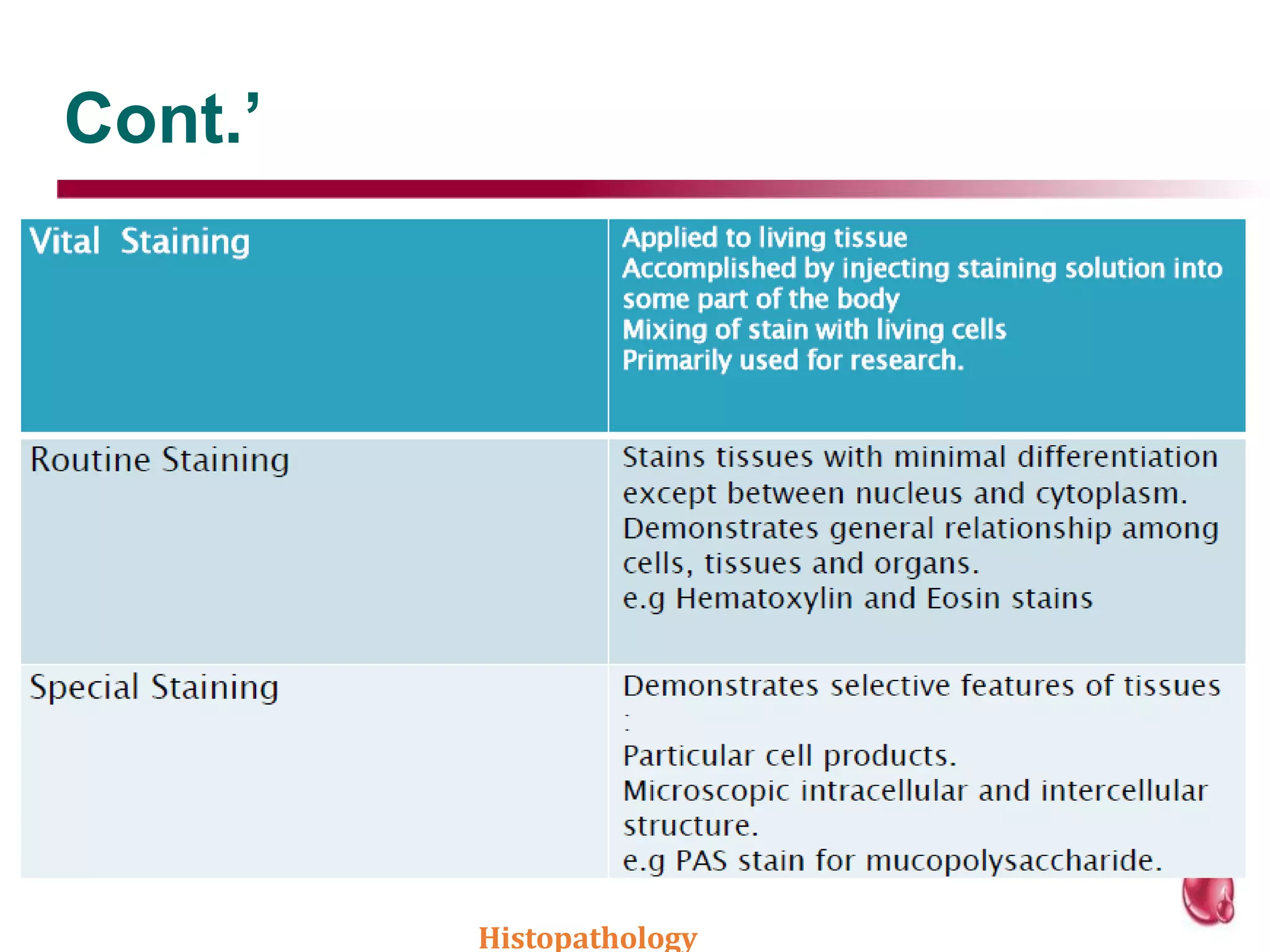 Cont.’
Histopathology
 