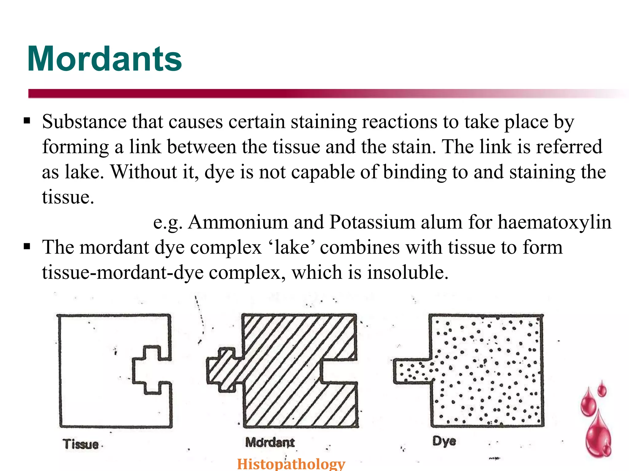 Mordants
 Substance that causes certain staining reactions to take place by
forming a link between the tissue and the stain. The link is referred
as lake. Without it, dye is not capable of binding to and staining the
tissue.
e.g. Ammonium and Potassium alum for haematoxylin
 The mordant dye complex ‘lake’ combines with tissue to form
tissue-mordant-dye complex, which is insoluble.
Histopathology
 